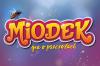 mini: Miodek - gra o pszczołach (2)